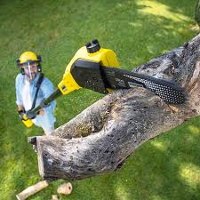 Best Tree Removal Service  in Lagrange, IN