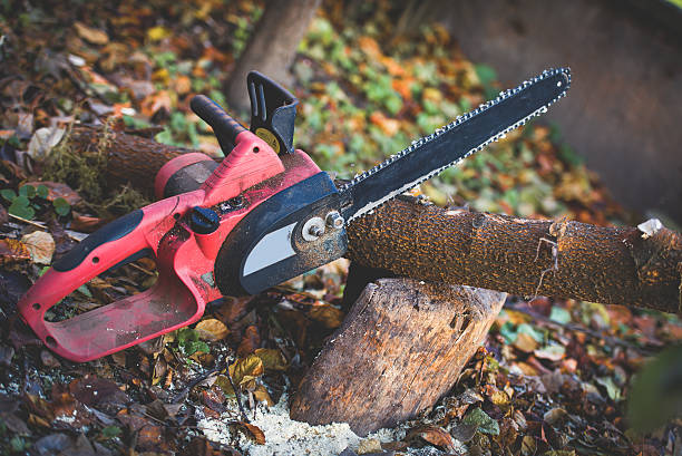 Tree and Shrub Care in Lagrange, IN